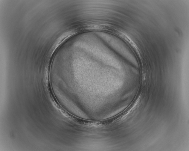 X0000112920994200909141309