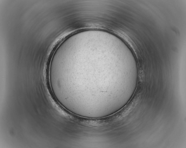 X0000112920995200909141309