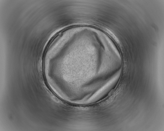 X0000112920996200909141309