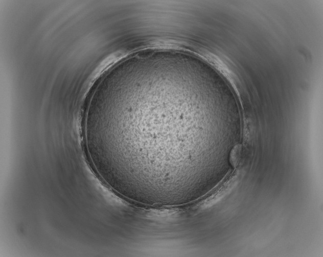 X0000112920997200909141309