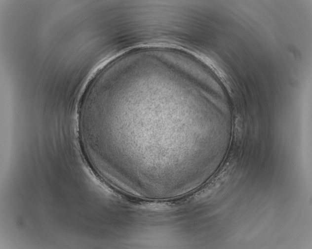 X0000112920998200909141309
