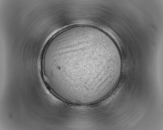 X0000112920999200909141309