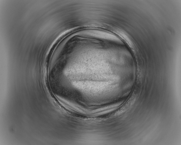 X0000112921000200909141309
