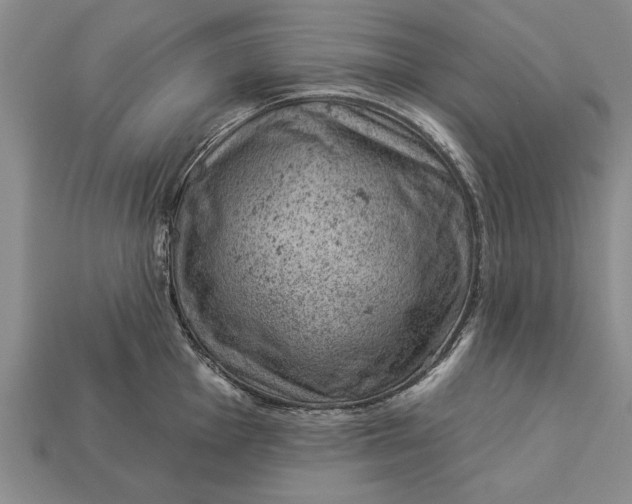 X0000112921001200909141309