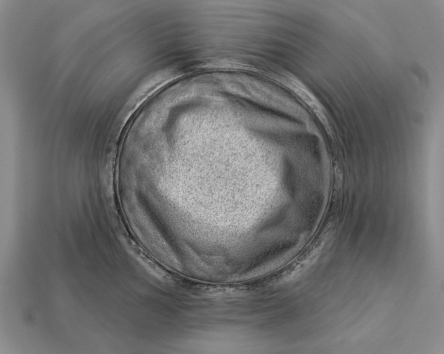 X0000112921002200909141309