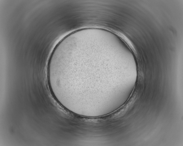 X0000112921004200909141309