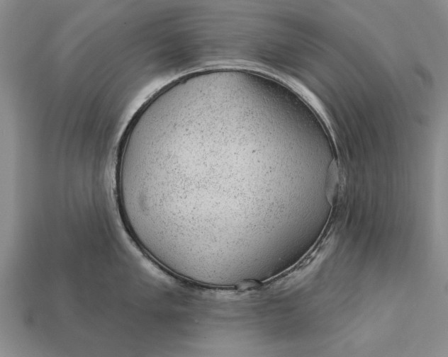 X0000112921005200909141309