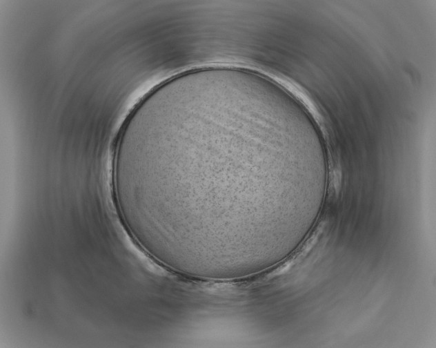 X0000112921006200909141309