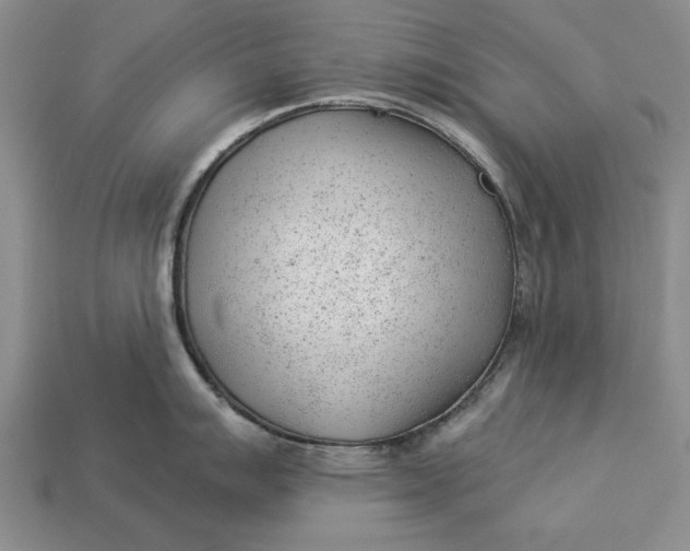 X0000112921007200909141309