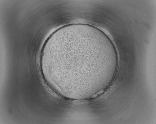 X0000112921008200909141309