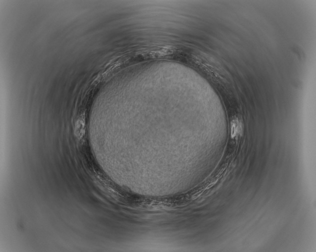 X0000112921011200909141308