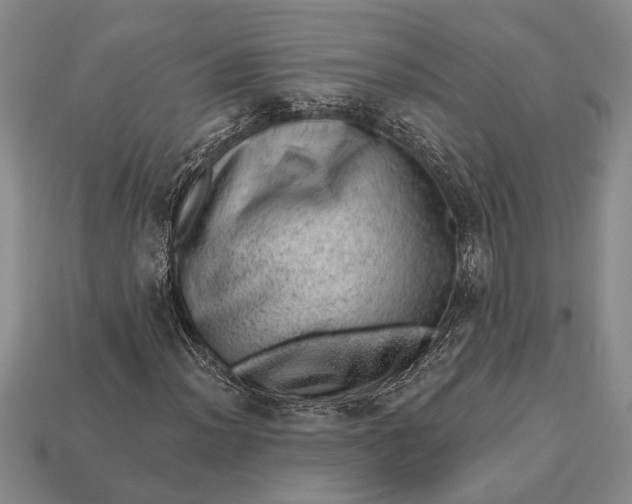 X0000112921012200909141308