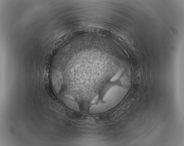 X0000112921013200909141308