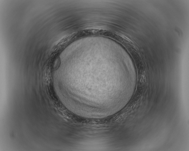X0000112921014200909141308