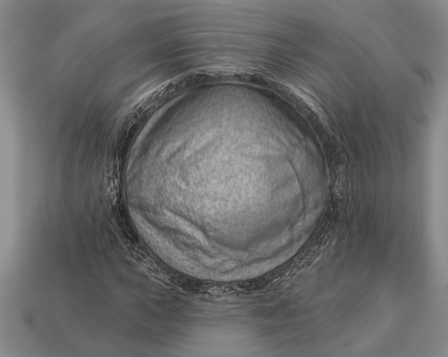 X0000112921015200909141308