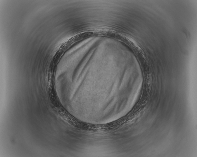 X0000112921016200909141308