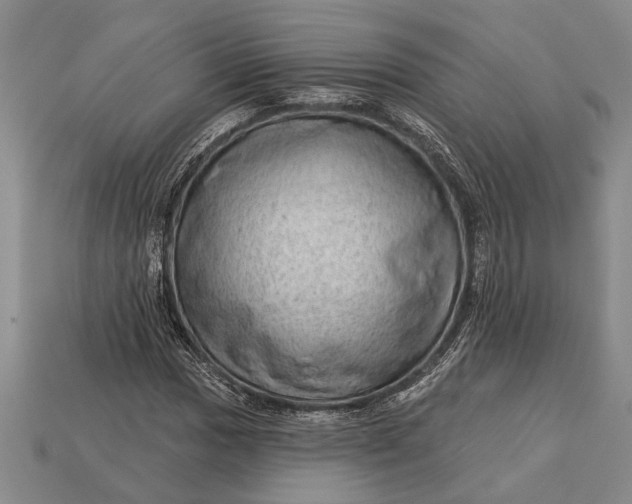 X0000112921017200909141308