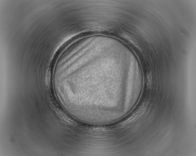 X0000112921021200909141308