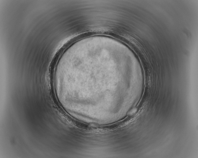 X0000112921022200909141308