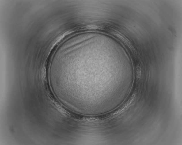 X0000112921023200909141308