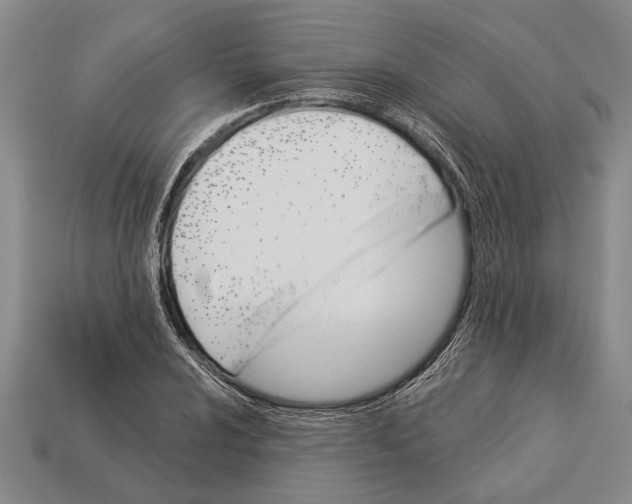 X0000112921024200909141308