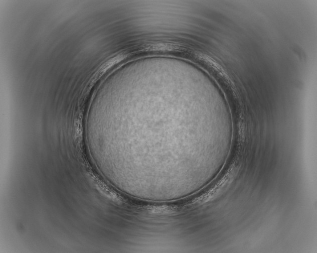 X0000112921025200909141308