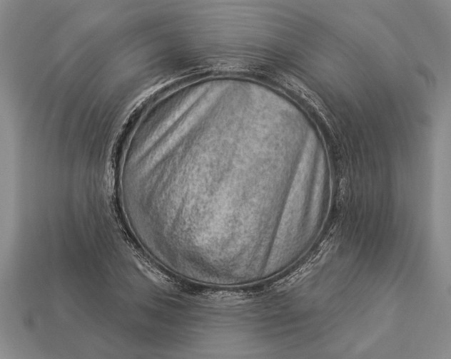 X0000112921027200909141308