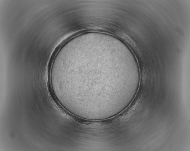 X0000112921028200909141308