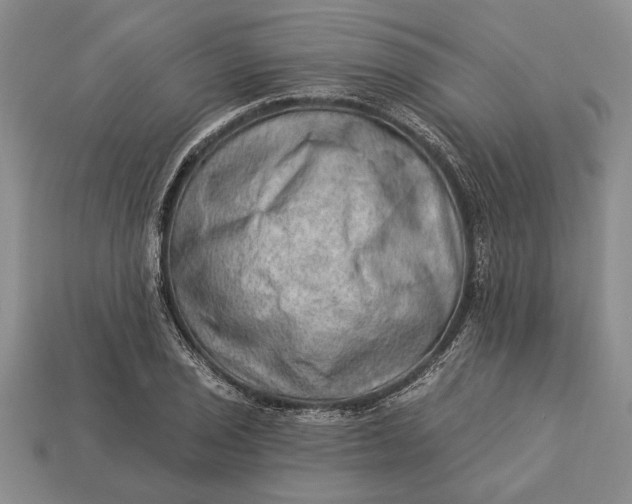 X0000112921029200909141308
