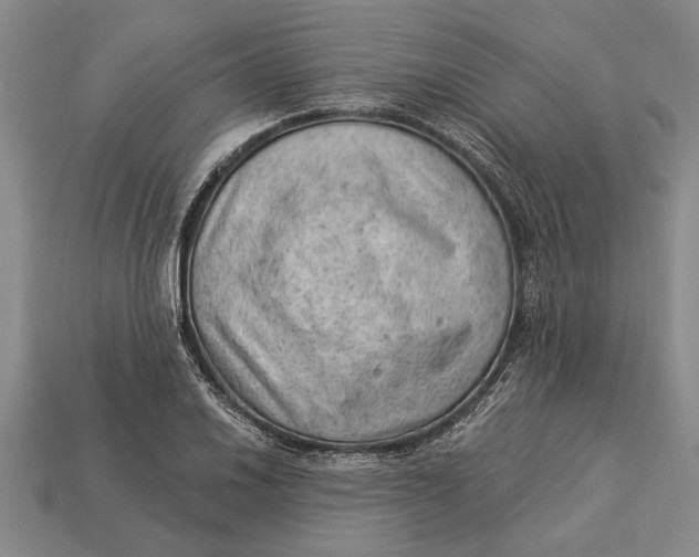 X0000112921030200909141308
