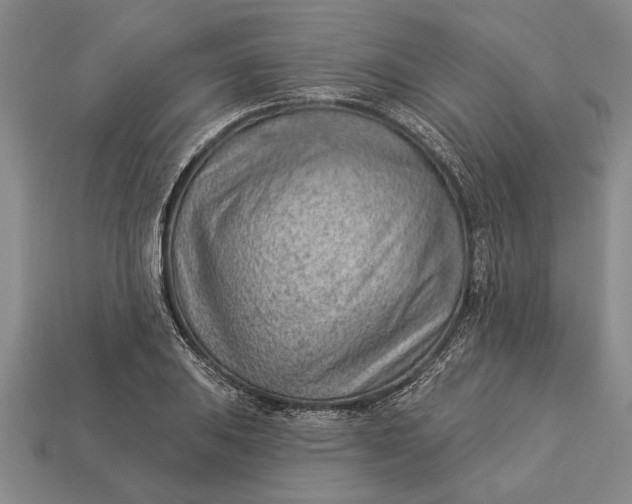 X0000112921031200909141308