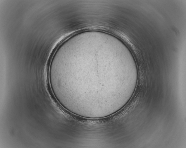 X0000112921032200909141308