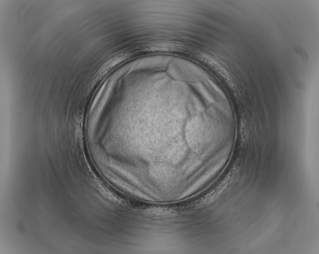 X0000112921033200909141308