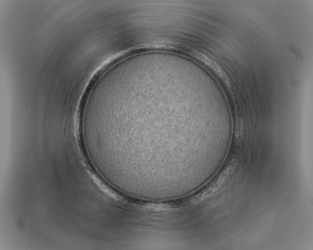 X0000112921037200909141308