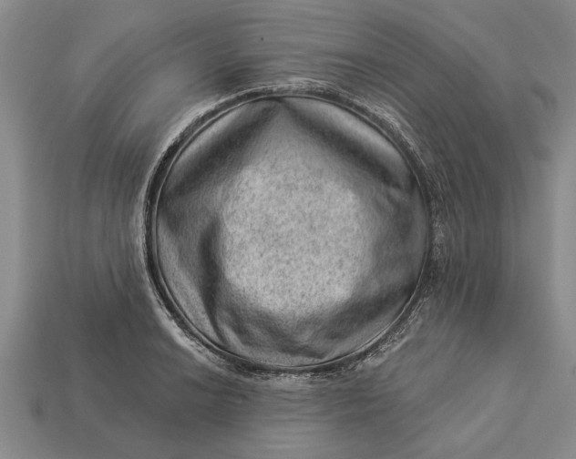 X0000112921038200909141308