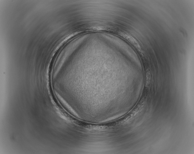 X0000112921039200909141308