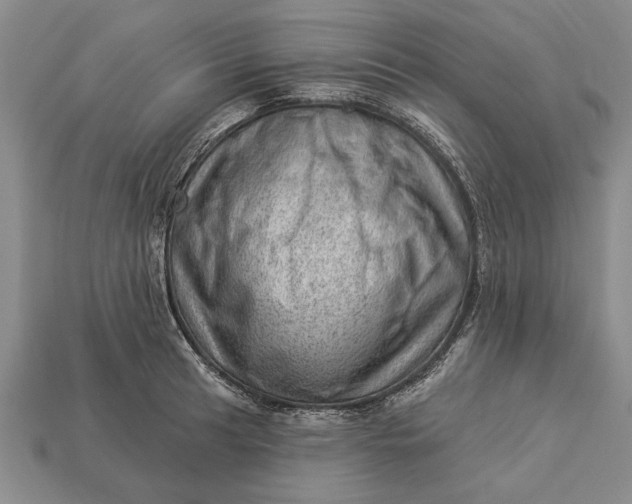 X0000112921041200909141309