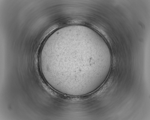X0000112921042200909141309