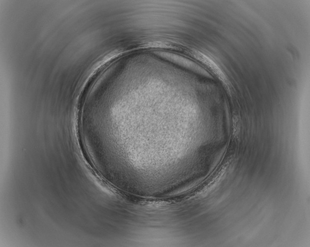 X0000112921043200909141309