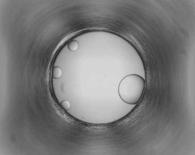 X0000112921044200909141309