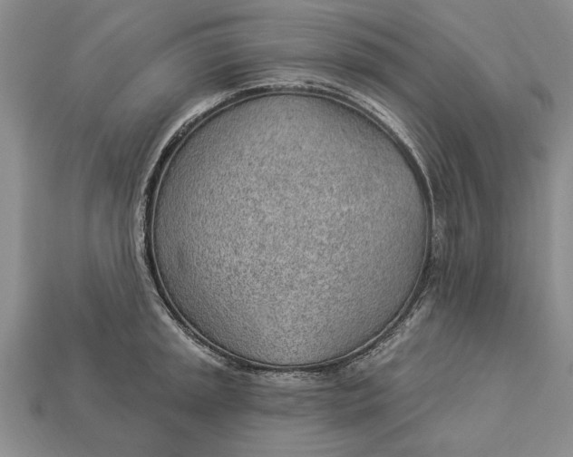 X0000112921045200909141309