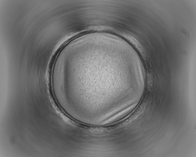 X0000112921046200909141309