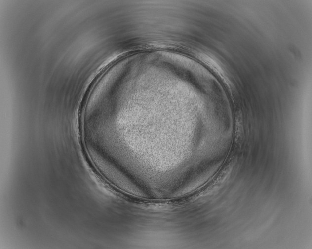 X0000112921047200909141309