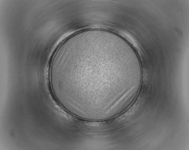 X0000112921048200909141309