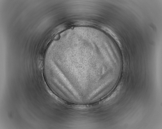 X0000112921049200909141309