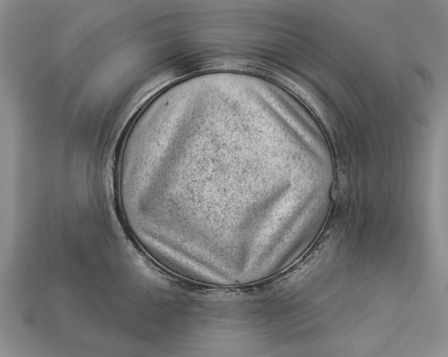 X0000112921050200909141309