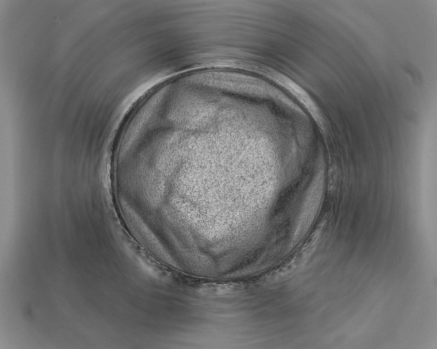 X0000112921051200909141309
