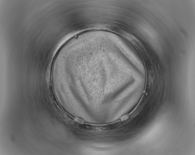 X0000112921052200909141309