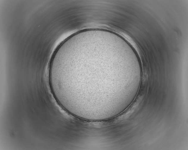 X0000112921053200909141309