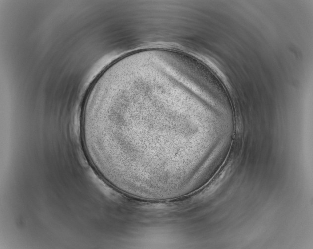 X0000112921054200909141309